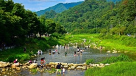 경기도, 돌아온 청정계곡 관광명소화 본격 추진