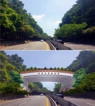 대전~옥천 경계구간 마달령생태통로 본격 착공
