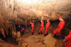 평창 백룡동굴 생태체험학습장 재개장…하루 240명 입장