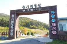 전남도, 행안부형 마을기업 19곳 선정…전국 최다