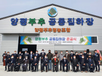 양평군, 양평부추 공동집하장 건립 준공식 개최