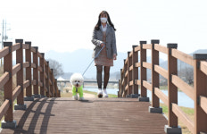 임실군, 오수의견관광지 제2의 전성기 성큼