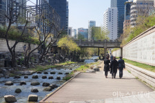 [포토] 점심식사 후 청계천에서 봄날 즐기는 회사원들