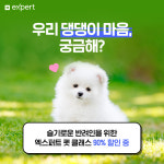 네이버 엑스퍼트, 심리상담, 반려동물, 부동산 클래스 인기