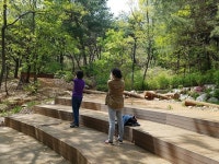 코로나 블루 극복, 치유의 숲으로 오세요!