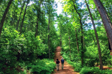원주 치악산 둘레길 139km 전 구간 20일 개통