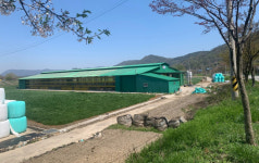 장성군, 북일면 수해 방지에 국비 60억원 확보… 지역 주민 환호