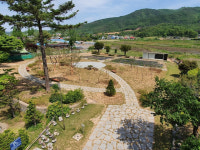 파주시, 파평면 용연초 학교 숲 조성공사 완료