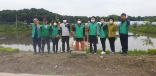 계양1동 새마을회, 취약계층 지원 사랑의 모내기 구슬땀