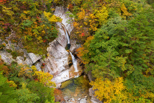 오대산국립공원 소금강계곡 탐방로 개방