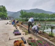 진주시 명석면 홍지마을은 사계절 예쁜 꽃이 활짝 핍니다.
