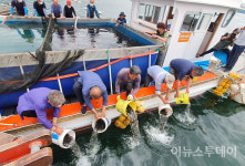 고성군, 어업인 소득증대 위한  수산종자 방류사업 실시
