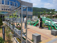 보성군, 벌교읍행정복지센터에 태백산맥 형상화 넝쿨식물 터널 조성 눈길