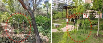 인천시, 힐링 산책·피톤치드 가득한 숲 과학적 자료 제공