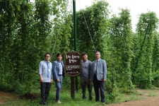 홍천서 국산 홉 대량 증식 성공···토종 수제 맥주 도전