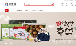 평창군 온라인 쇼핑몰 강원평창몰 추석맞이 기획전