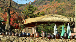 장성군, 축령산, 위드 코로나 시대 국민 안식처로