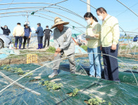 조근제 함안군수, 시설하우스 강풍 피해현장 점검
