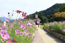 홍천 무궁화수목원 입소문···매년 4만명 꾸준히 증가
