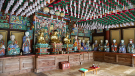 고흥 능가사 목조석가여래삼존상 및 16나한상 국가 보물지정 확정