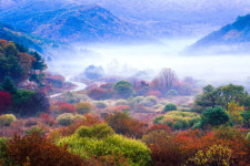 인제 갑둔리 비밀의 정원…사진 촬영 명소로 각광