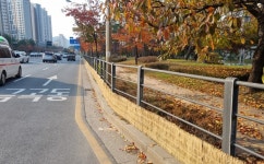 수원시, 가로수 띠녹지에 볏짚 차단막 설치