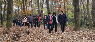 목포시, 양을산 맨발 산행로 조성