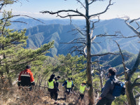 산림청 국립소광리산림생태관리센터, 금강소나무 모니터링 시민 활동 지원