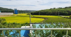 경기도,  사회복지법인 기본재산 무허가 처분 대표 6명 검거