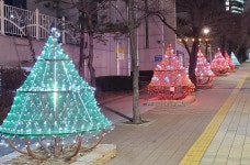 용인시 기흥구 구갈동, 2미터 트리조명 설치