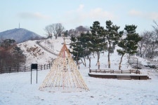 계양구, 새해 새로운 희망 염원 청사초롱 소원트리 설치
