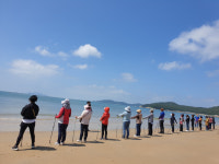 완도군, 봄 바람과 힐링 해양치유 프로그램 운영