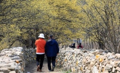 경기도, 생태관광거점 조성사업 마무리