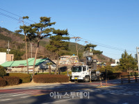 사천시, 주요 도로변 가로수 정비 나선다