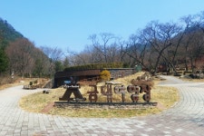 원주 치악산 금대 자동차 야영장 내달 1일 개장