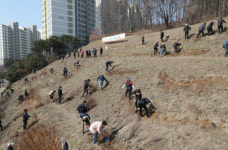 군포시, 제77회 식목일 앞두고 나무심기 행사 개최