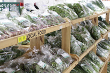 진주시 로컬푸드 직매장 가득 채운 봄내음