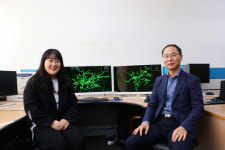 DGIST, 알츠하이머 치료 위한 새로운 공략법 발견