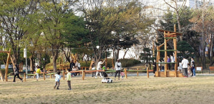 과천시, 중앙공원 짚라인 설치