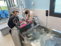 진주시, 1회용품 줄이기 플레이트 에코 진주 운영