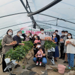 산청농업센터, 청년4-H 대상 실습... 딸기 농장체험 교육