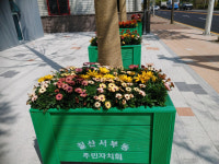 김해시 흥리단길 꽃거리 조성
