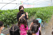 진주청동기문화박물관, 딸기 체험 프로그램 성공적인 마무리