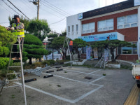 밀양시 삼문동, 청사 주변 환경정비 실시