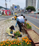 밀양시 가곡동,  화사한 여름꽃 식재로 아름다운 경관 조성