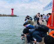 기장군해조류육종연구센터, 말쥐치 등  치어 100만미 방류