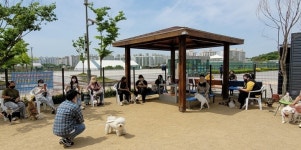 평택시가족센터,  반려견 교육 우리함께, 투개(dog)더! 실시