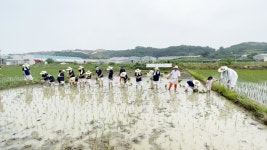 함안군, 2022 전수교육관 활성화 사업... '화천의 굿(Good) 바람'본격 운영