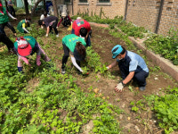 안양시, 도시텃밭에서 이웃들과 행복을 수확하다