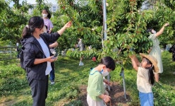 영월군 꼬마 농부의 즐거운 텃밭 체험
